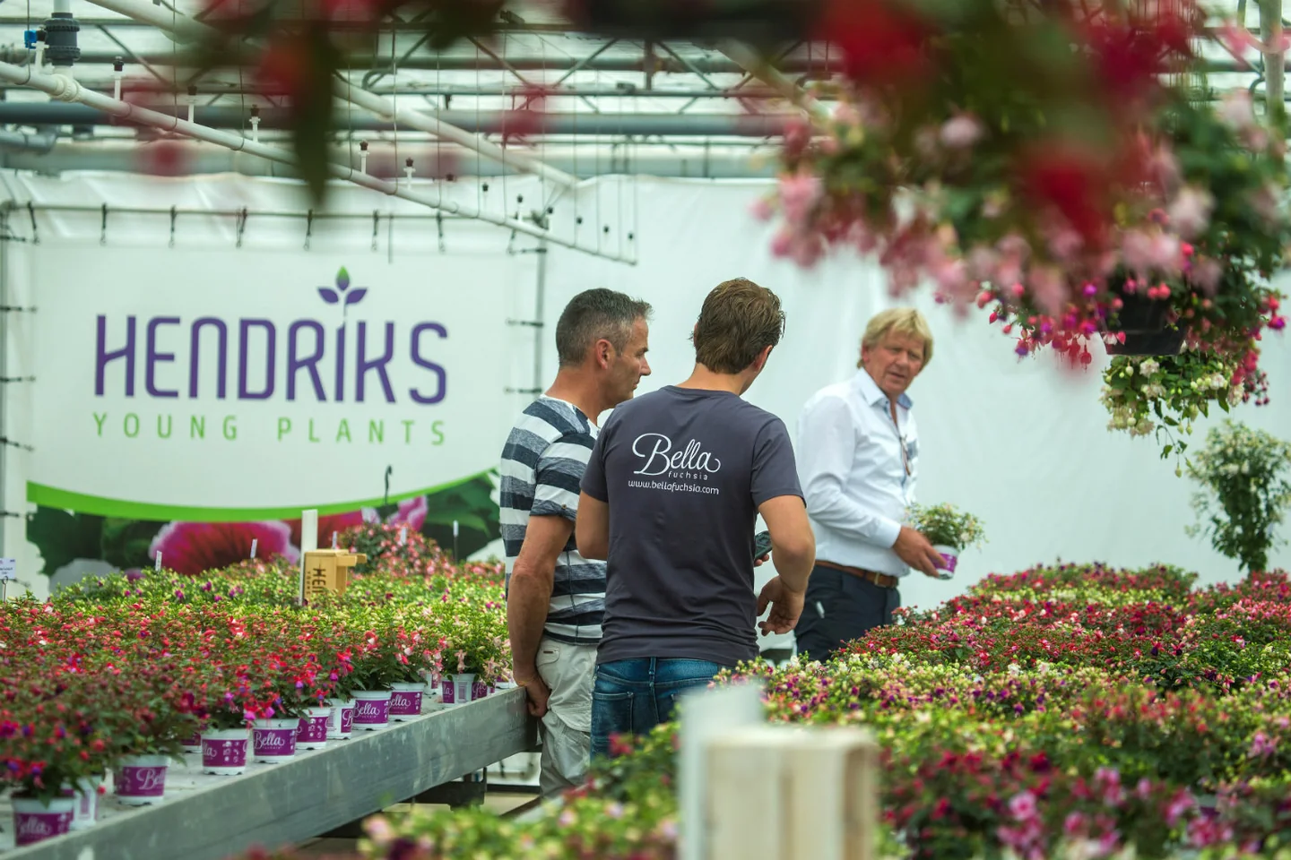 Hendriks Young Plants nursery