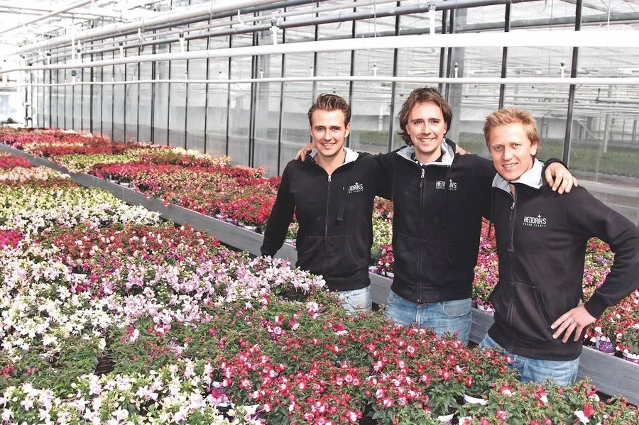 Kwekerij Hendriks Young Plants